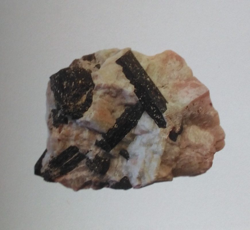 Hoornblende kristallen in calciet matrix